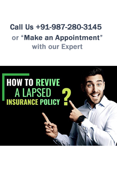 Insurance Legal Support